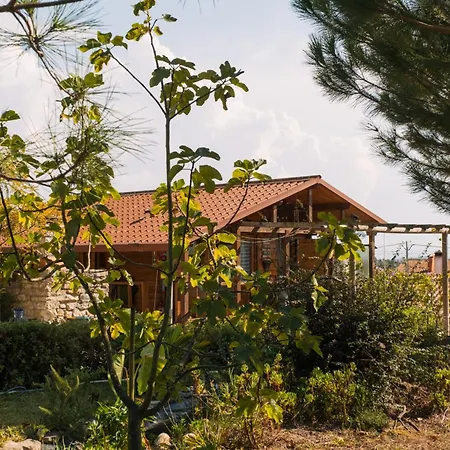 Chalet Chale Dos Sobreiros